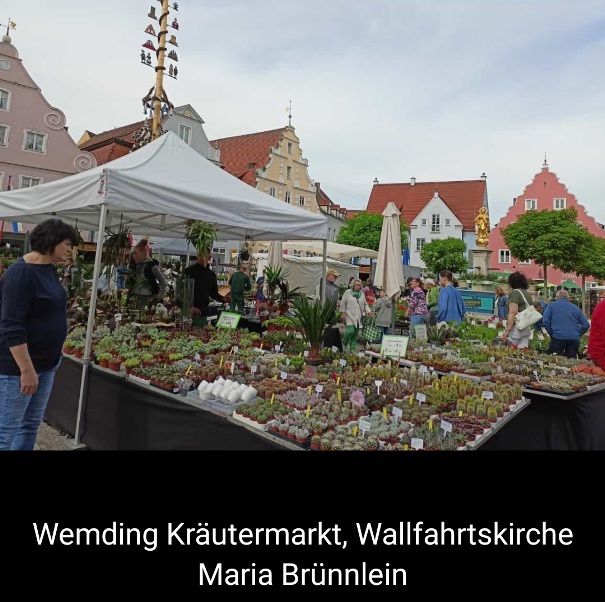 Fuchsienmarkt 2023